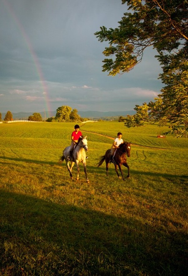 Beautiful landscape photography in Richmond, VA, of two people riding horses. 
