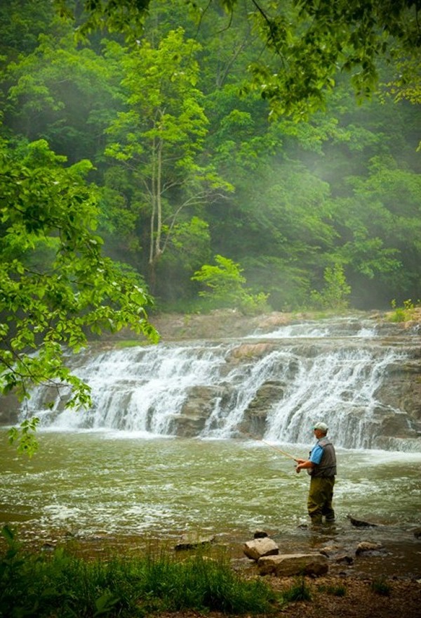 Nature photography in Richmond, VA, of a man fishing in a stream.